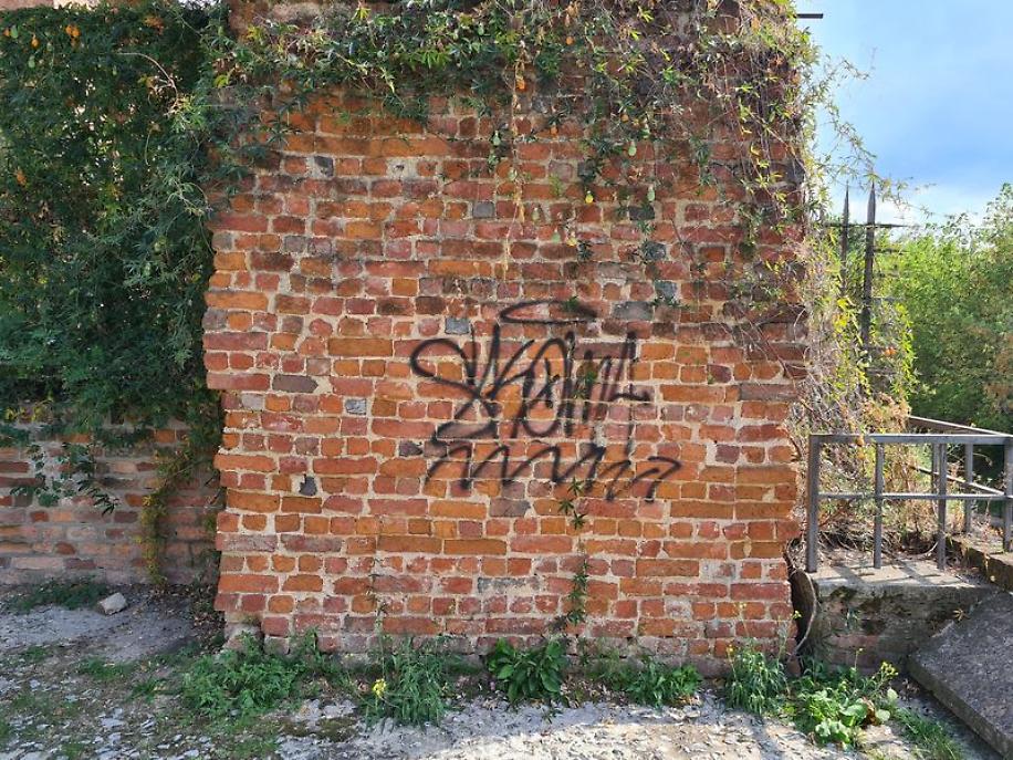 Sopralluogo Briccarello Antiche Mura1_risultato