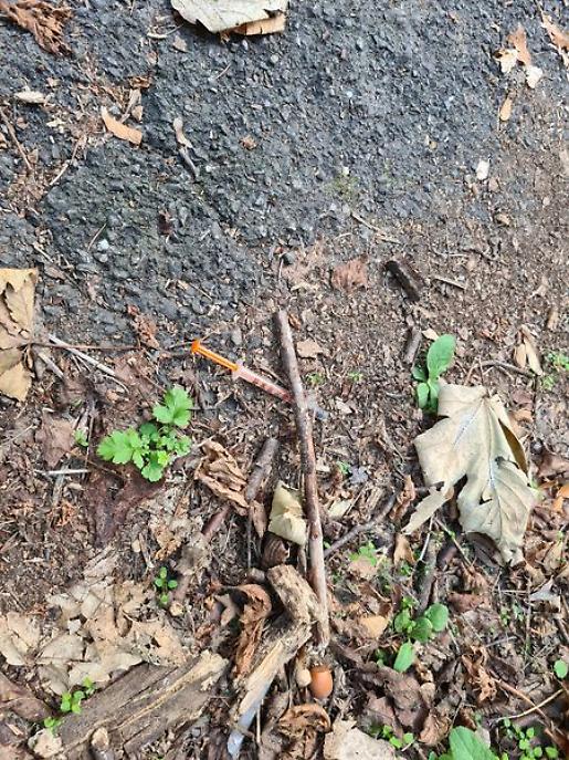 Sopralluogo Briccarello Antiche Mura5_risultato