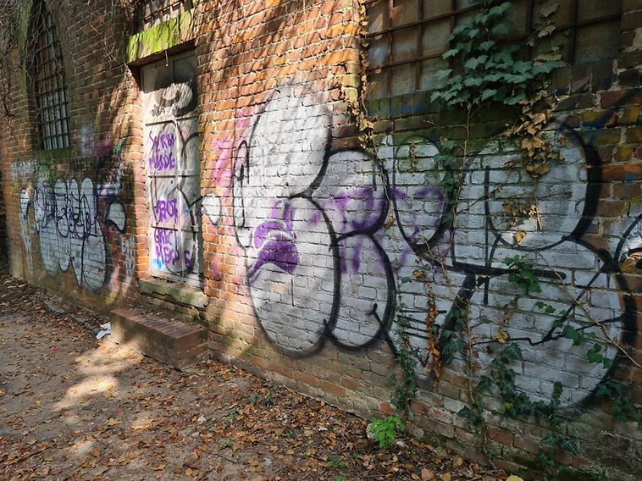 Sopralluogo Briccarello Antiche Mura6_risultato