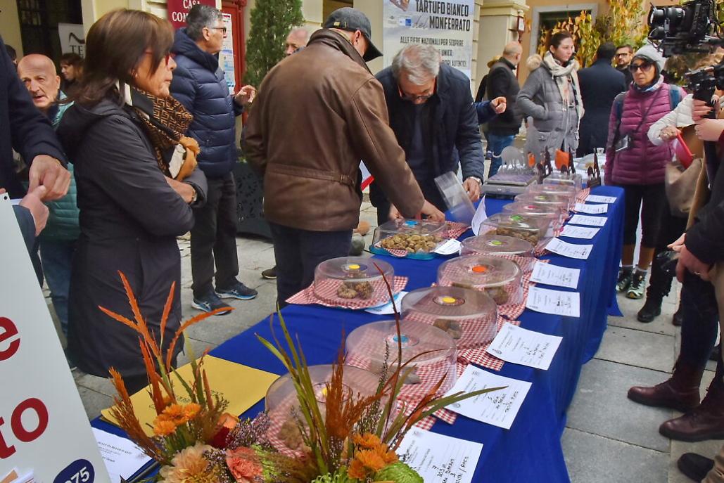 san damiano d'asti Il tavolo dei tartufi esposti