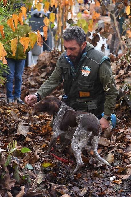 ricerca simulata in piazza Libert&agrave;