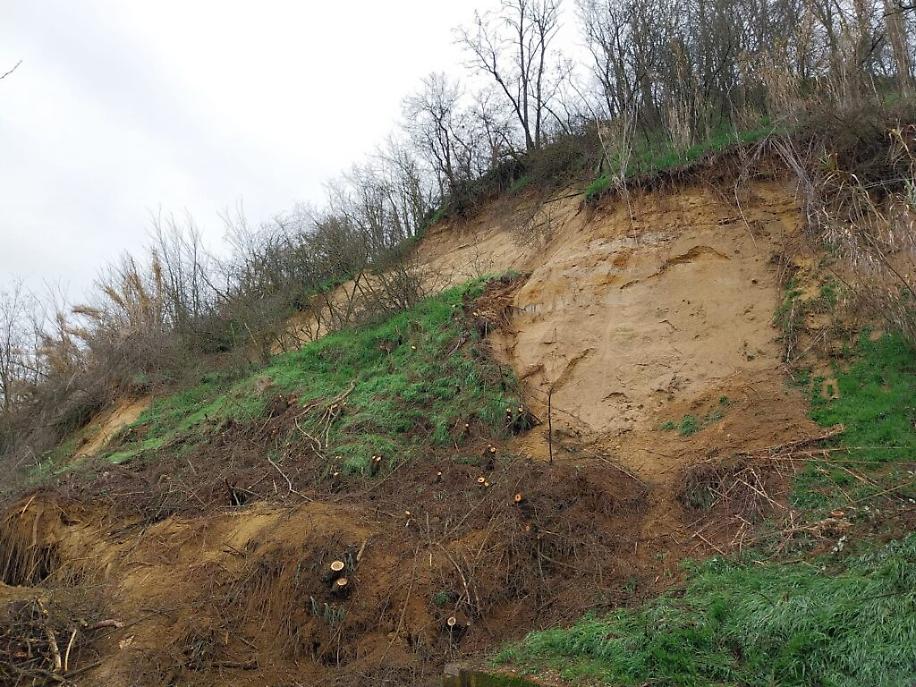 WhatsApp Image at ()