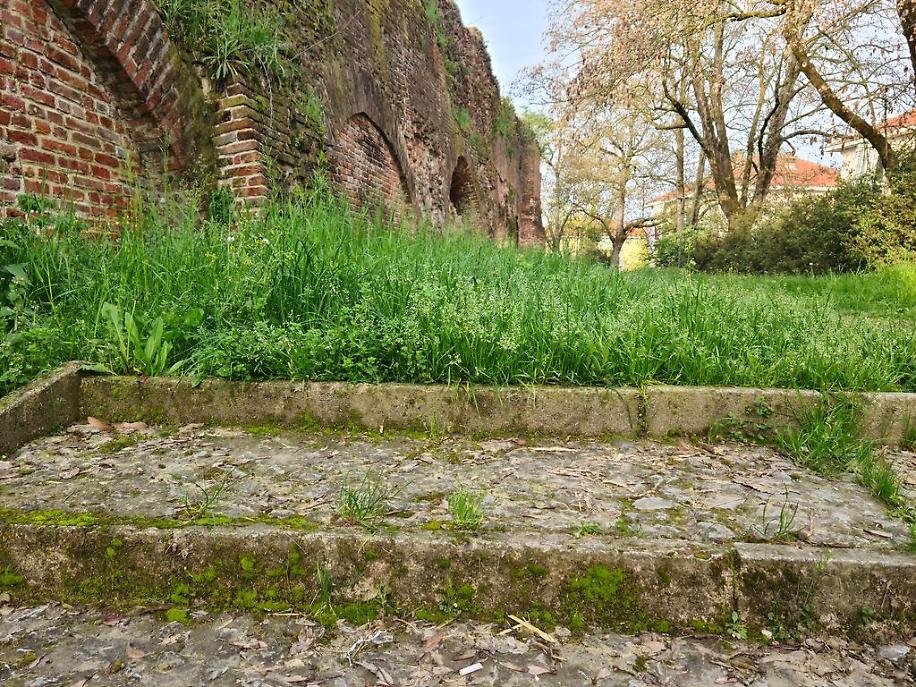 Antiche Mura aprile risultato