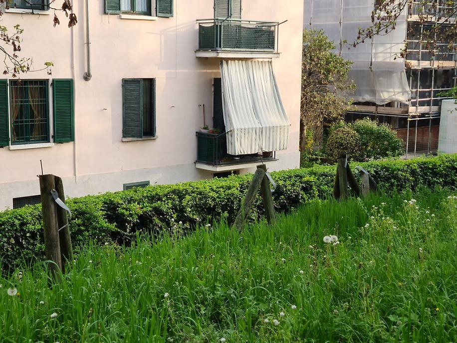 Antiche Mura aprile risultato