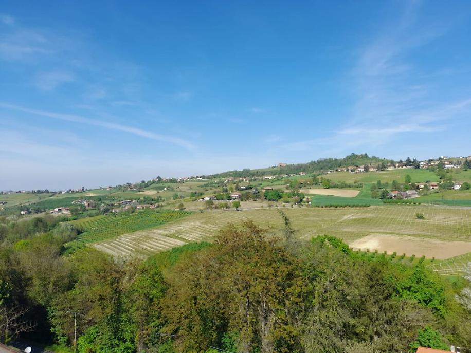 WhatsApp Image at ()