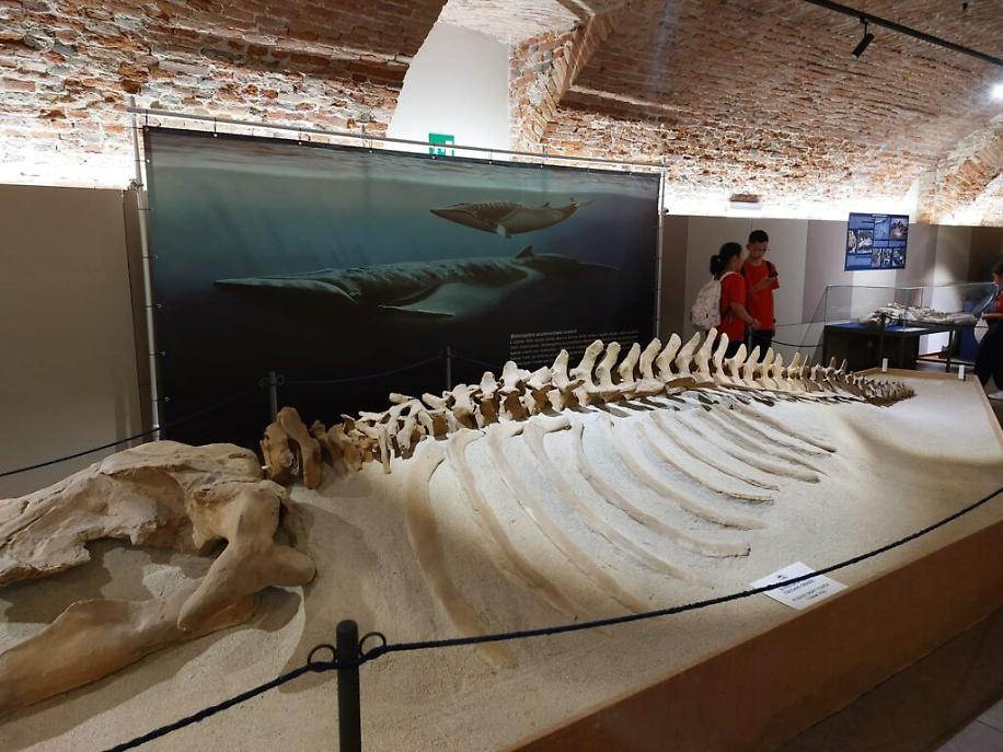 Delegazione giovani cinesi ad asti