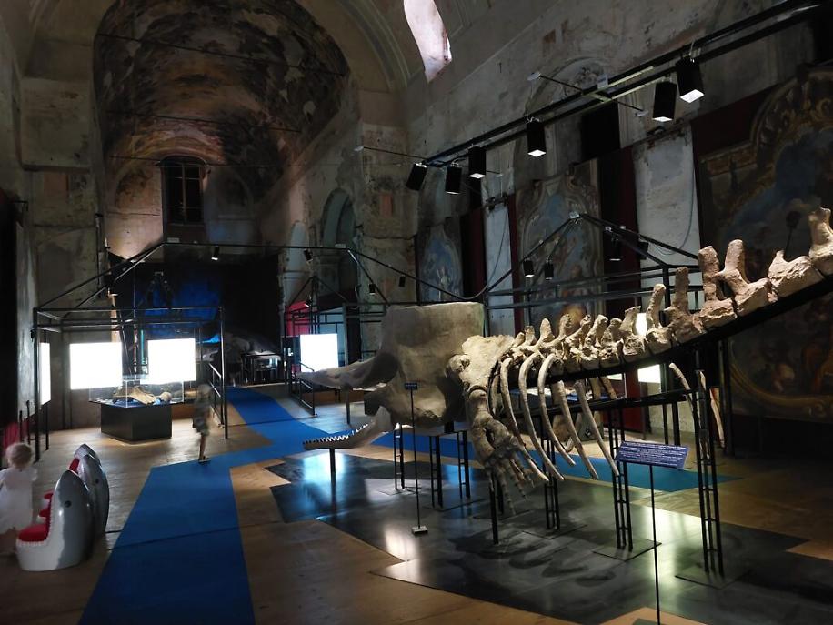 Delegazione giovani cinesi ad asti