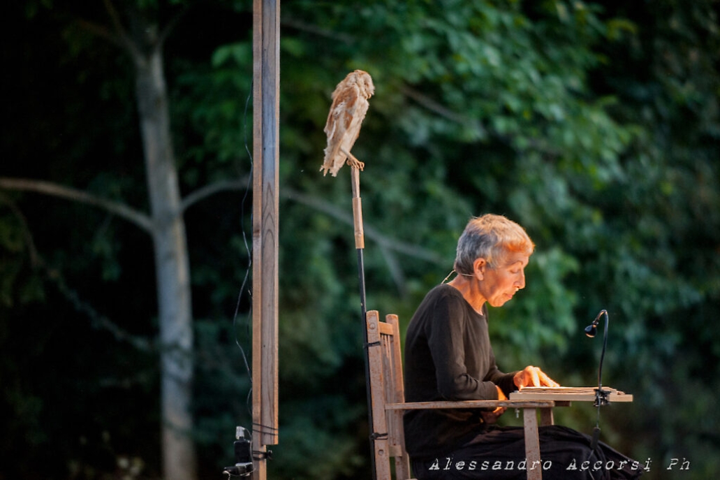 E Riapparvero Gli Animali Alessandro Accorsi ()