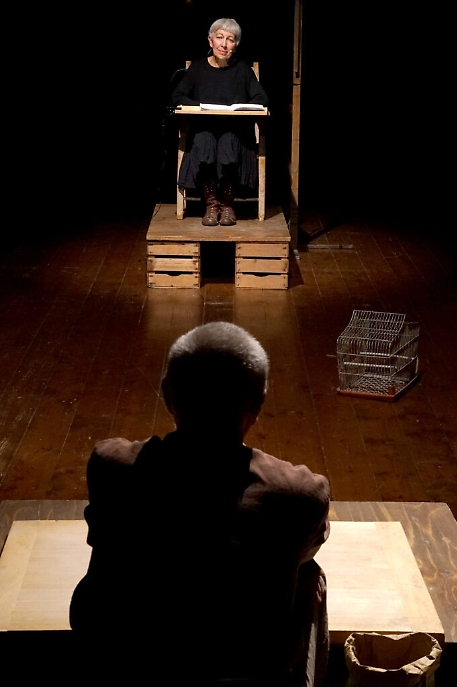 E riapparvero gli animali Stefano Vaja ()