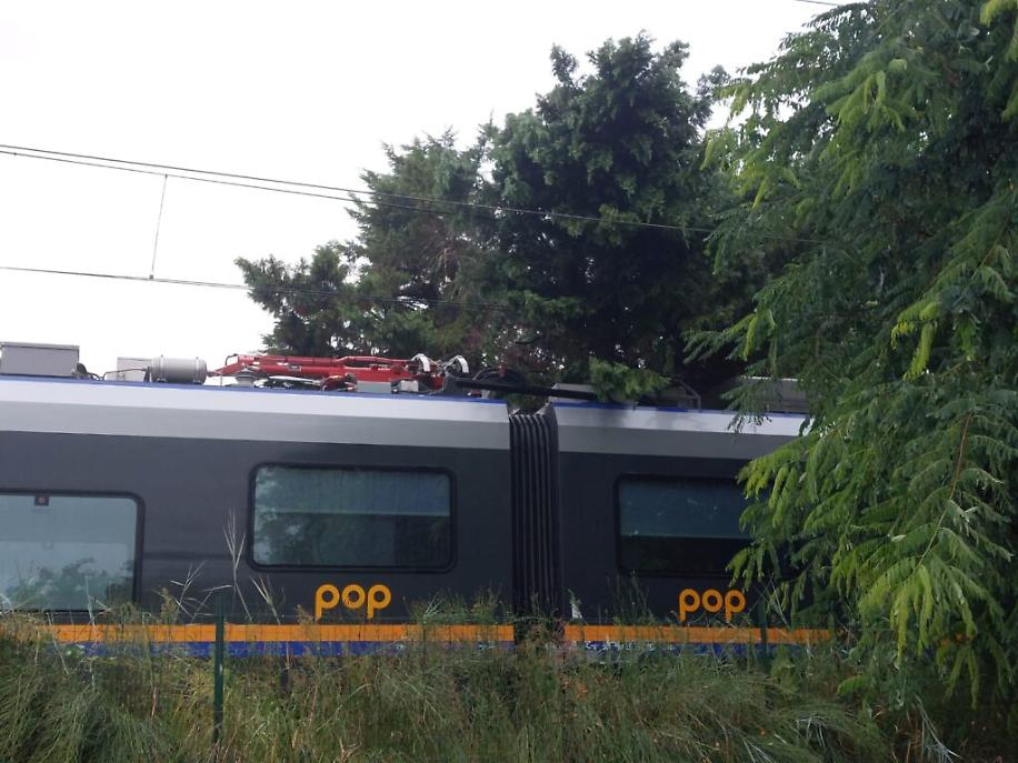 nubifragio del agosto ad Asti