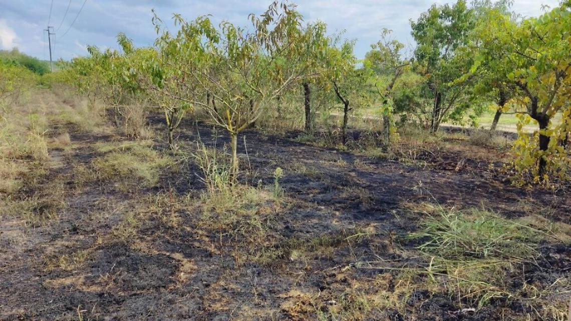 incendio incisa