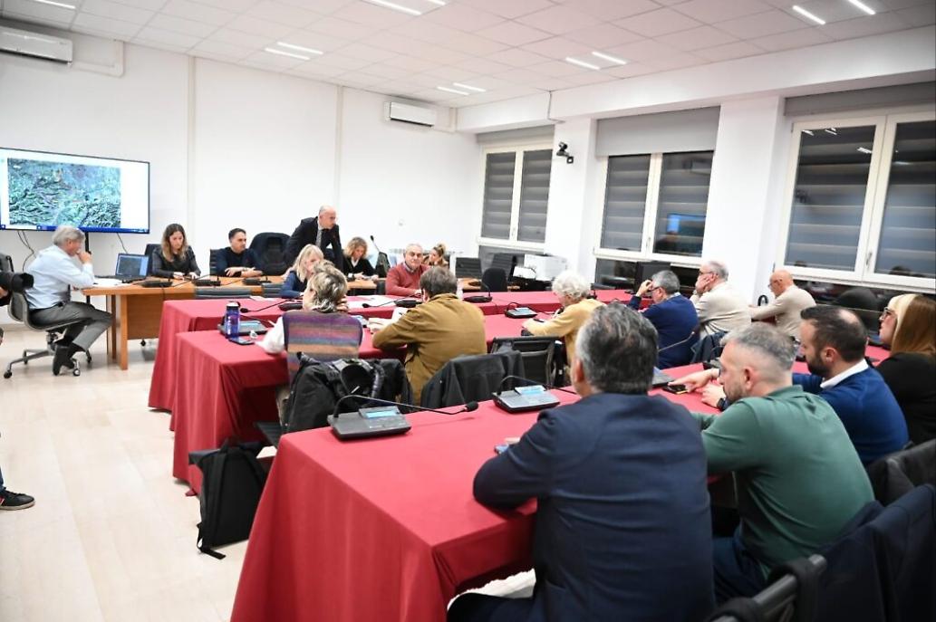 Commissione del Caso