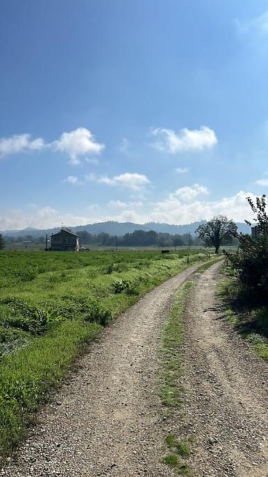 sopralluogo Caso AVS