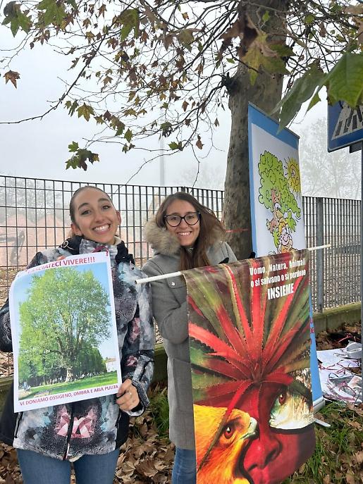 Presidio per salvare i platani di corso Savona ad Asti