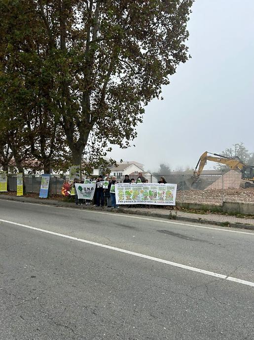Presidio per salvare i platani di corso Savona ad Asti