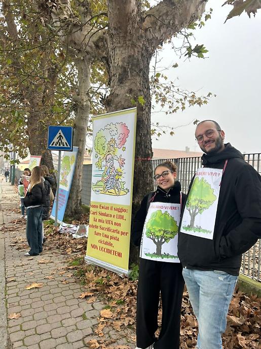Presidio per salvare i platani di corso Savona ad Asti