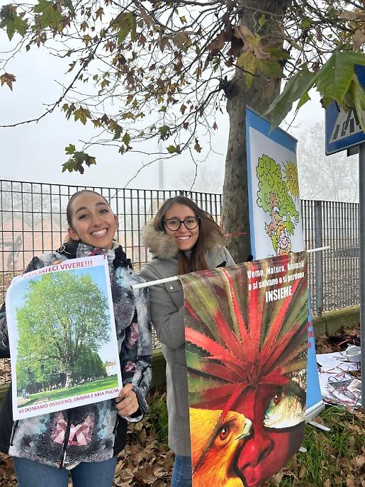 Presidio per salvare i platani di corso Savona ad Asti