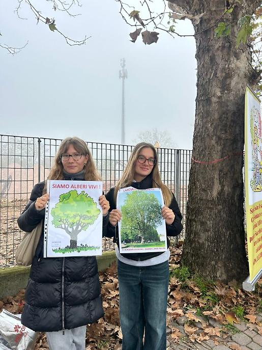 Presidio per salvare i platani di corso Savona ad Asti