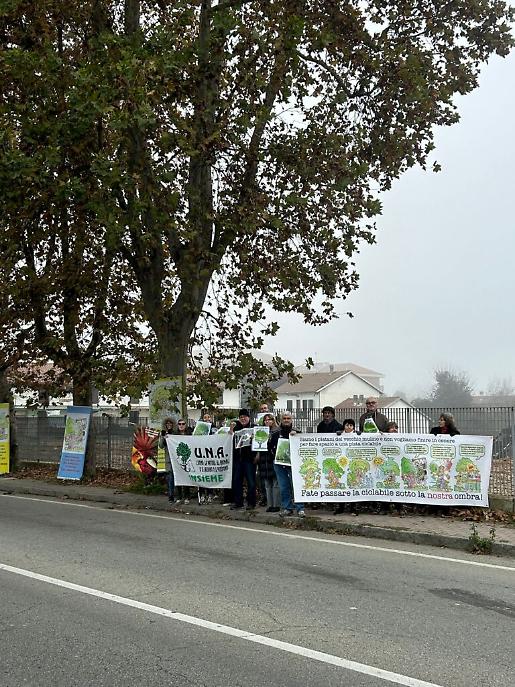 Presidio per salvare i platani di corso Savona ad Asti