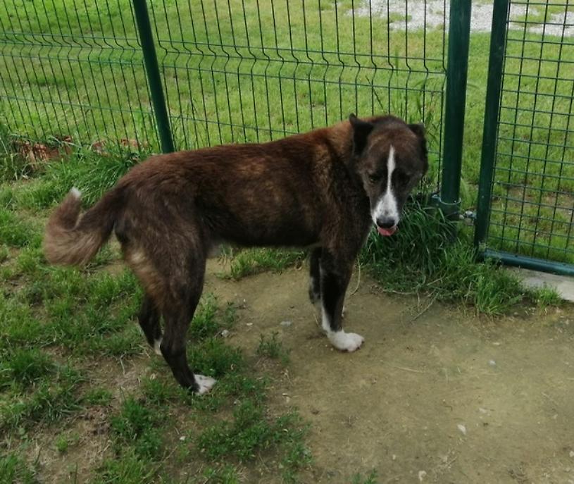 faf dff cbf be caefebe