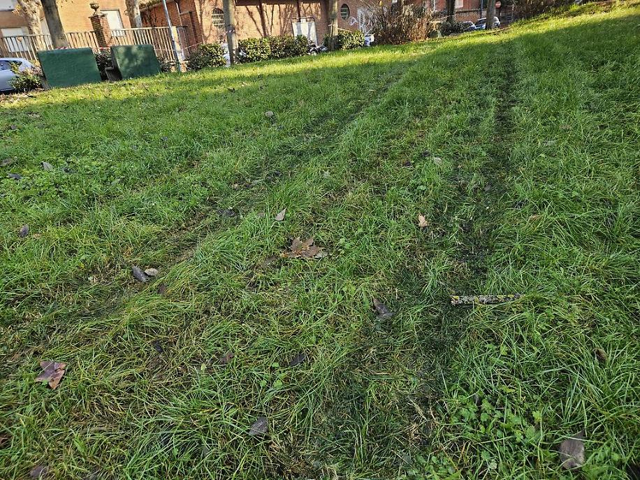 Misteriose tracce nel prato del Biberach di Asti