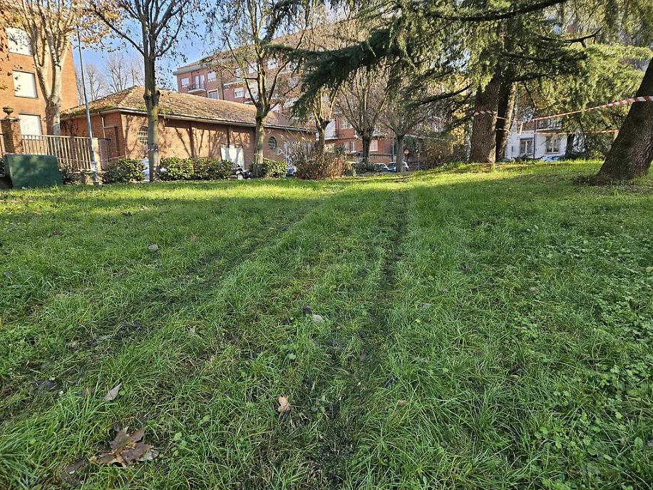 Misteriose tracce nel prato del Biberach di Asti