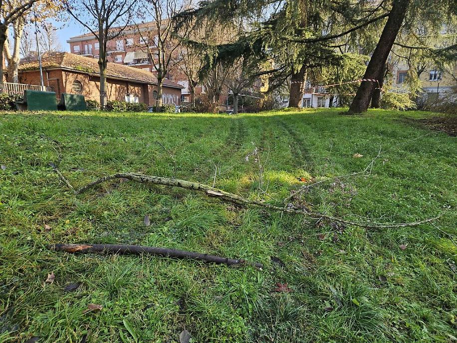 Misteriose tracce nel prato del Biberach di Asti