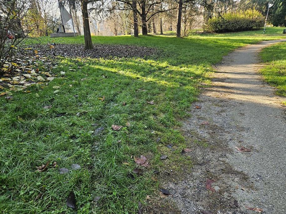 Misteriose tracce nel prato del Biberach di Asti
