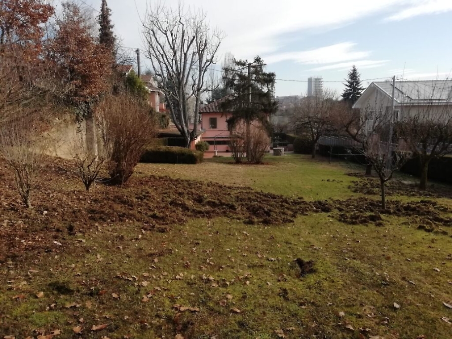 Immagine WhatsApp ore affd