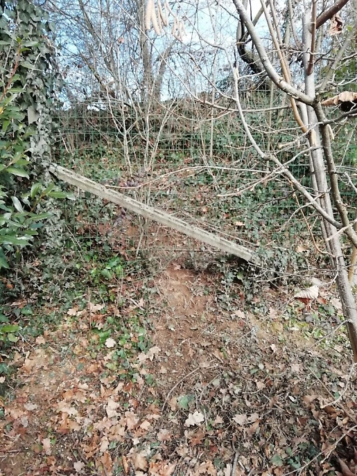 Immagine WhatsApp ore cad