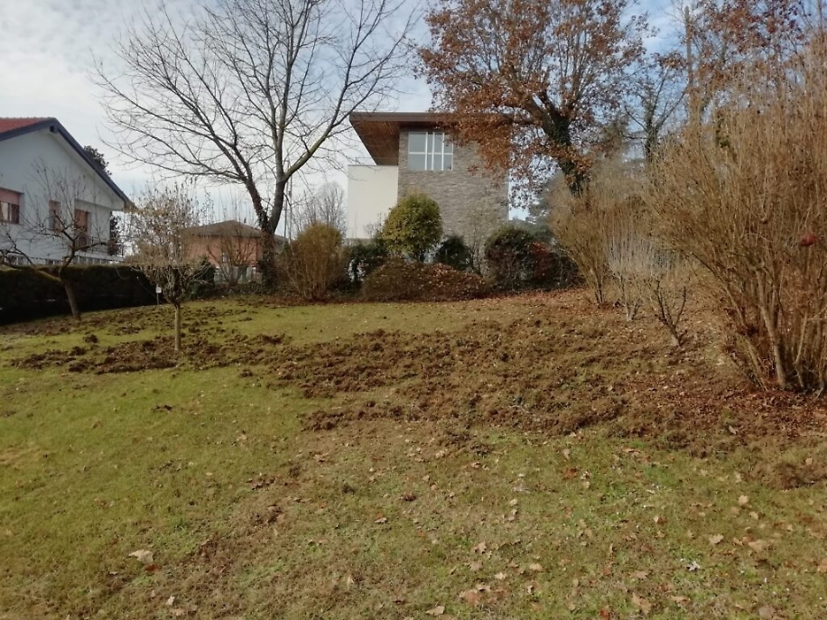 Immagine WhatsApp ore acf