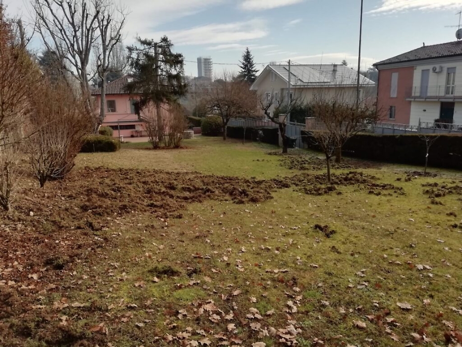 Immagine WhatsApp ore adfd