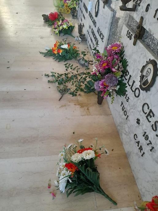 WhatsApp Image at ()