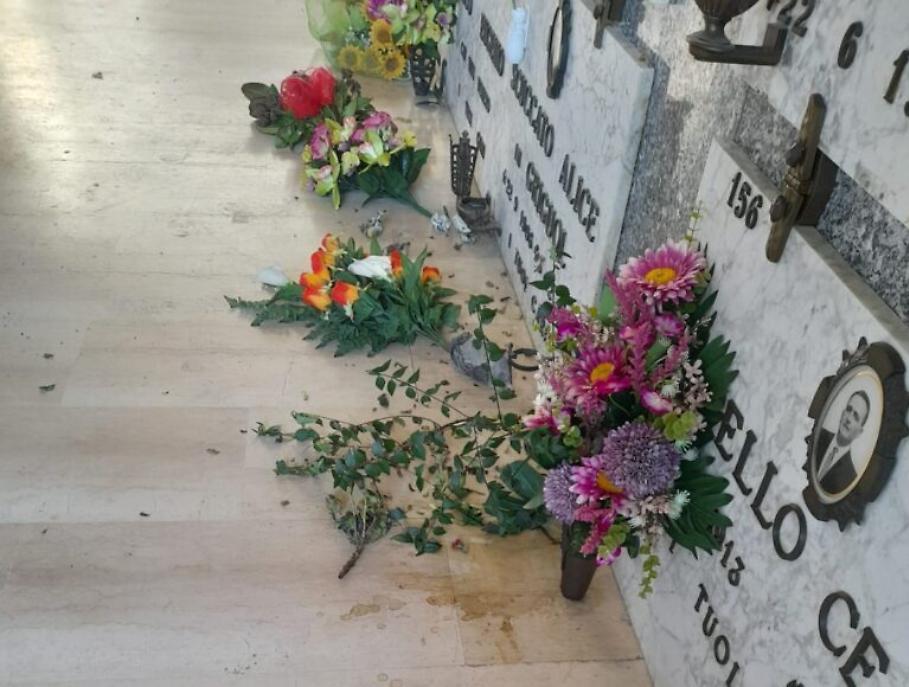 WhatsApp Image at ()