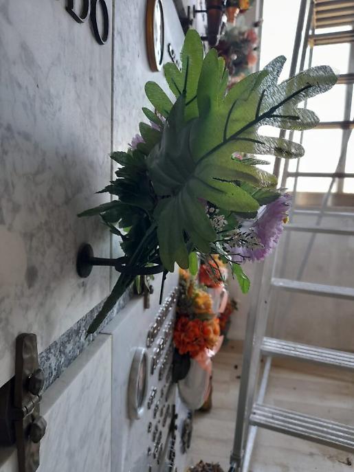 WhatsApp Image at ()