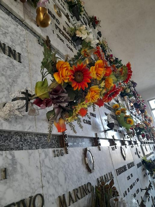 WhatsApp Image at ()