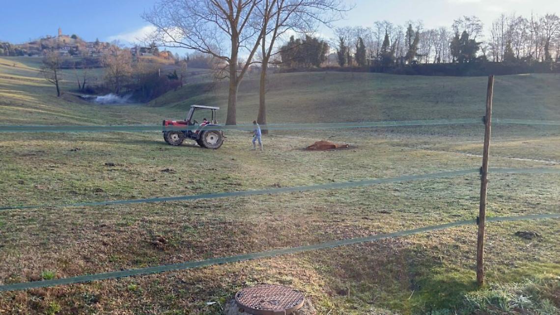 Zanellato incidente robella