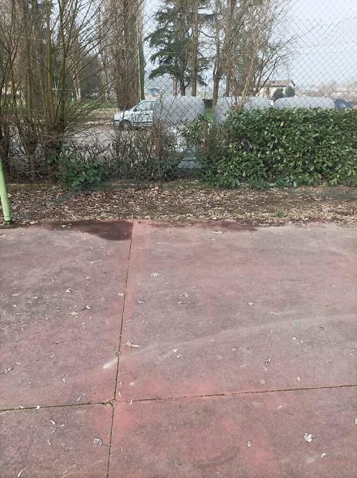 piattaforme di quartiere corso Alba