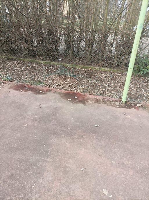 piattaforme di quartiere corso Alba