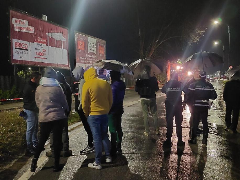 Abbattimento dei platani di corso Savona