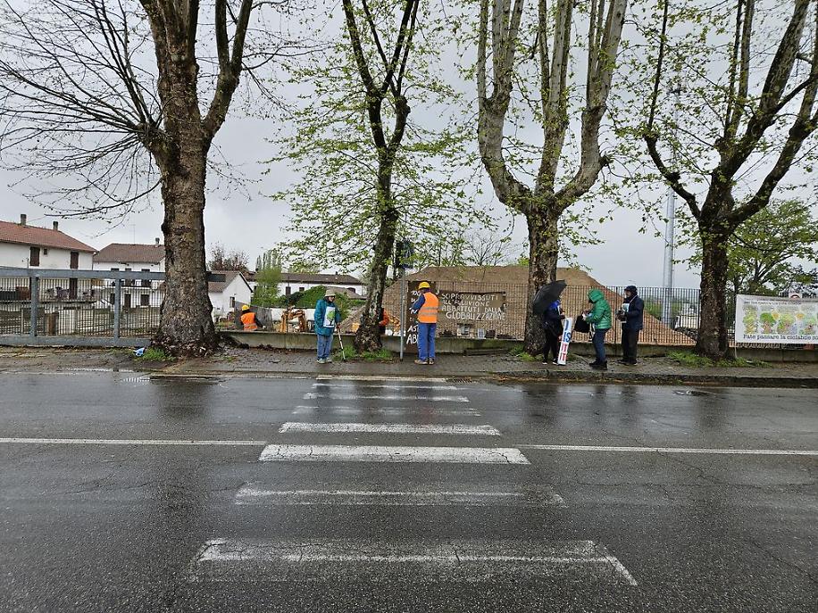Ambientalisti ultimo giorno platani di corso Savona risultato