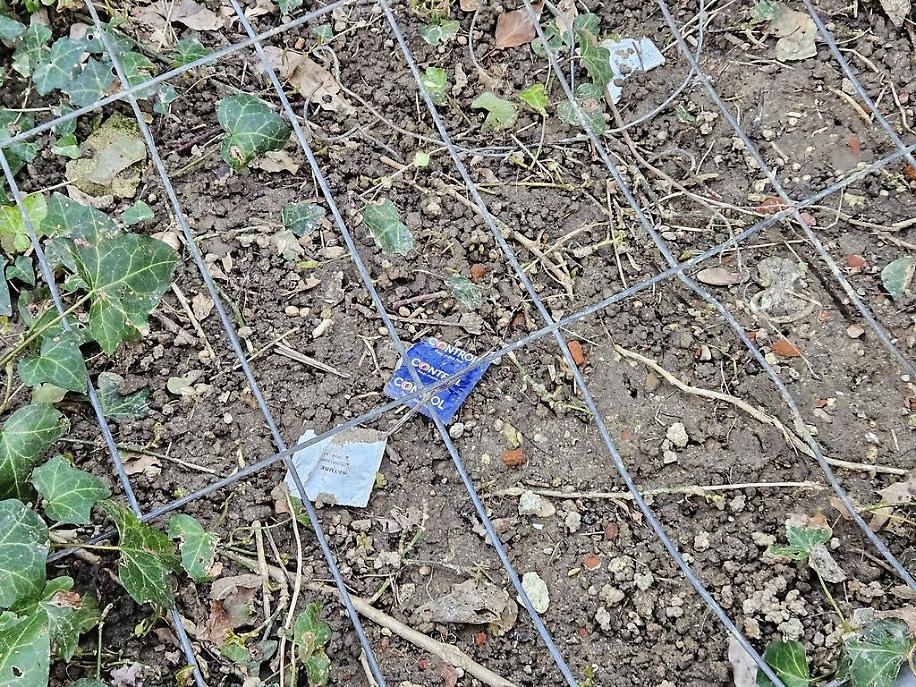 Antiche Mura e Bosco dei Partigiani a marzo risultato