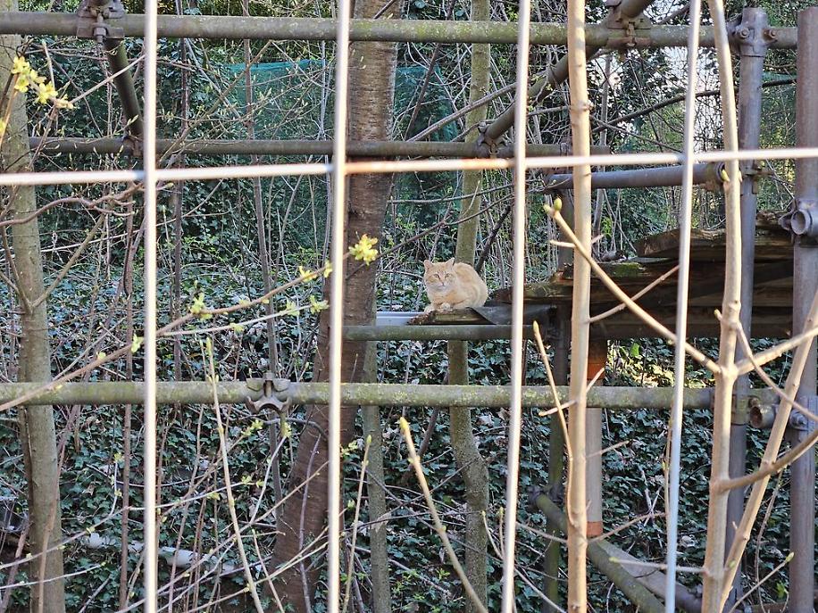 Antiche Mura e Bosco dei Partigiani a marzo risultato