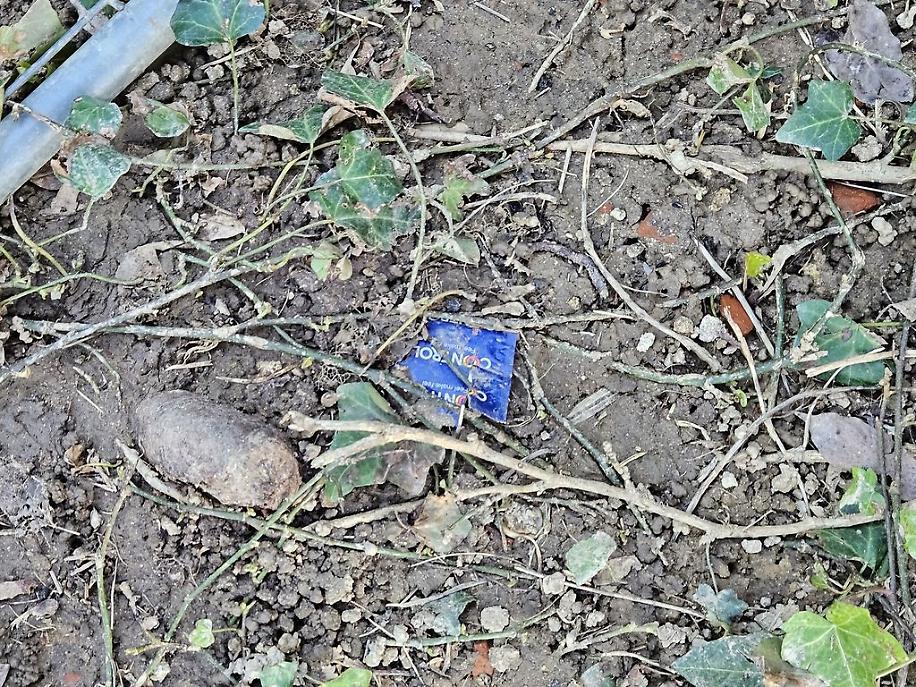 Antiche Mura e Bosco dei Partigiani a marzo risultato