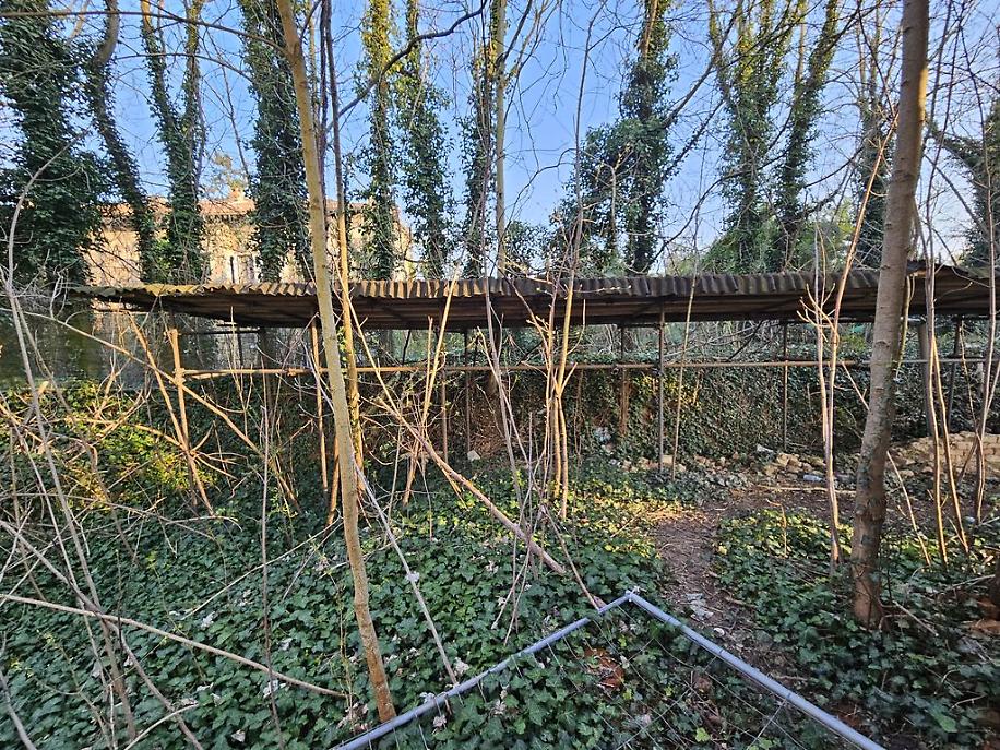 Antiche Mura e Bosco dei Partigiani a marzo risultato