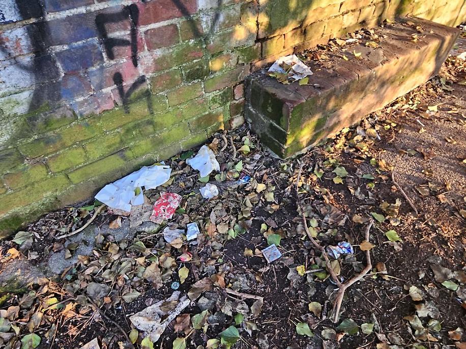 Antiche Mura e Bosco dei Partigiani a marzo risultato