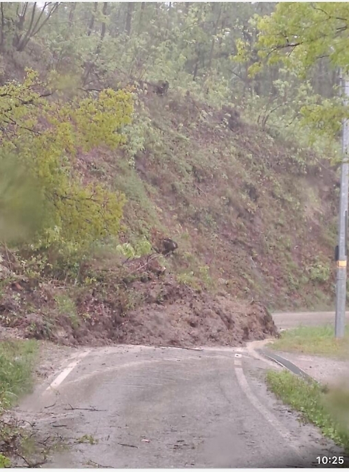 Maltempo i danni sulle strade provinciali