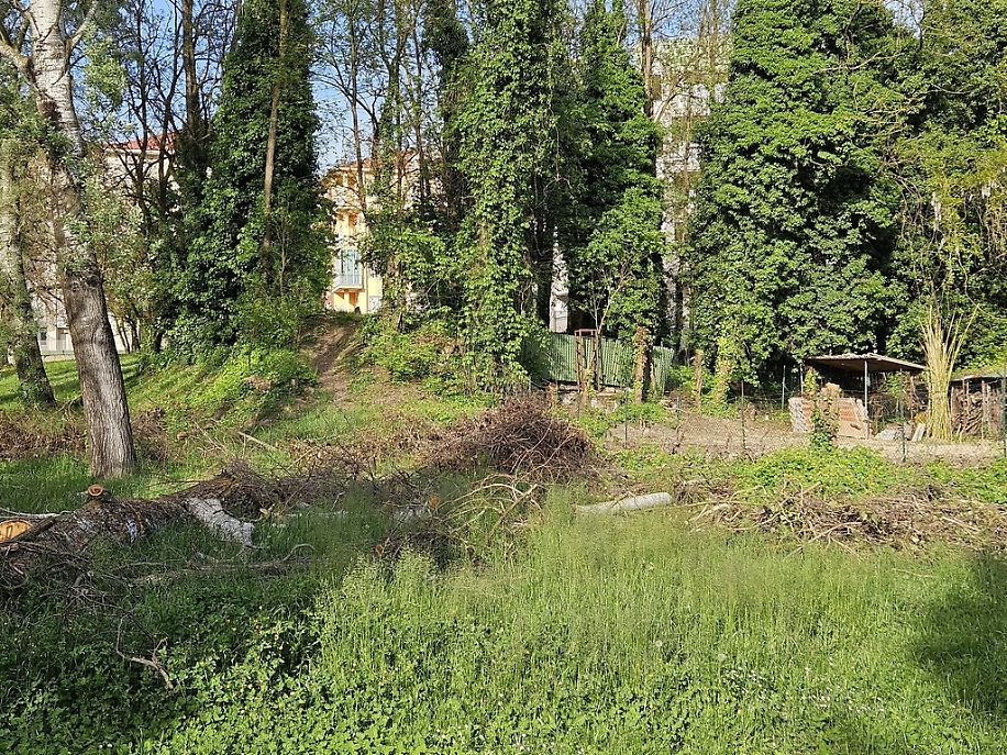 Parco Biberach resti alberi risultato