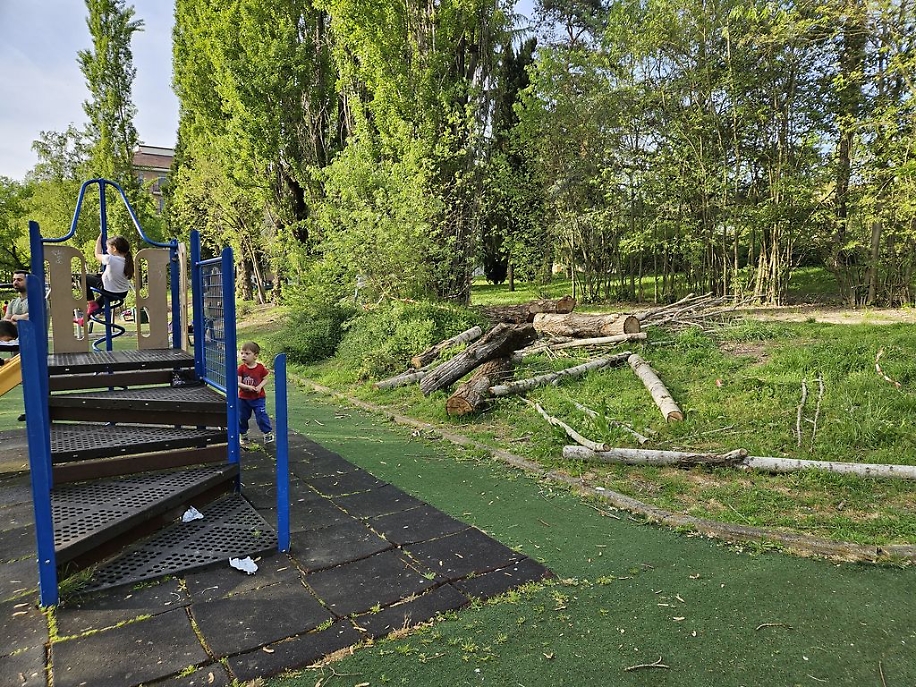 Parco Biberach resti alberi risultato