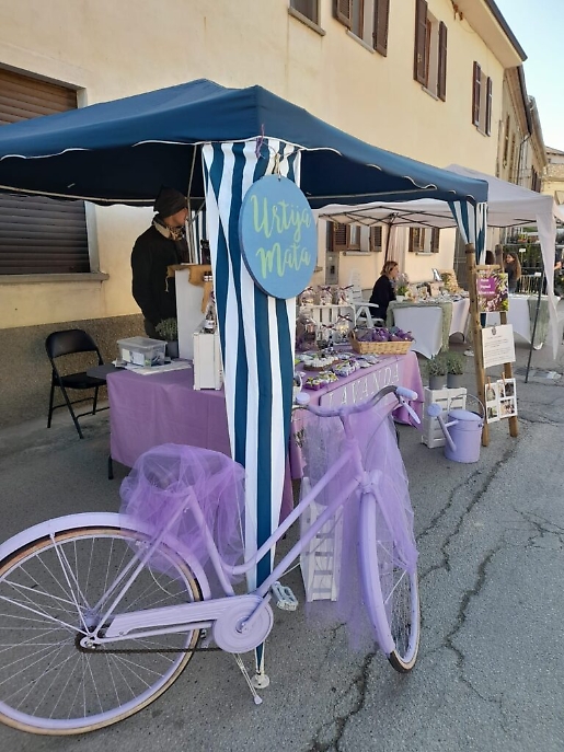 WhatsApp Image at ()